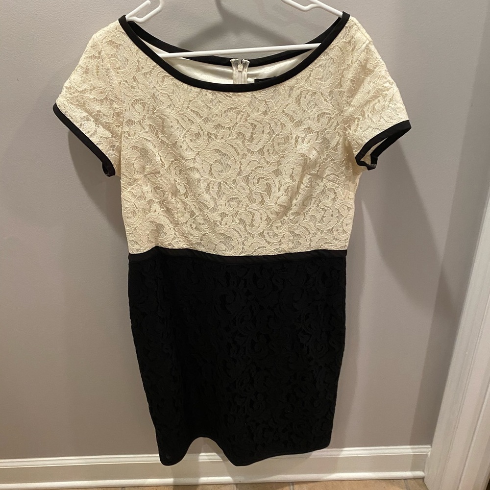 Ann Taylor Black and Cream Lace Sheath